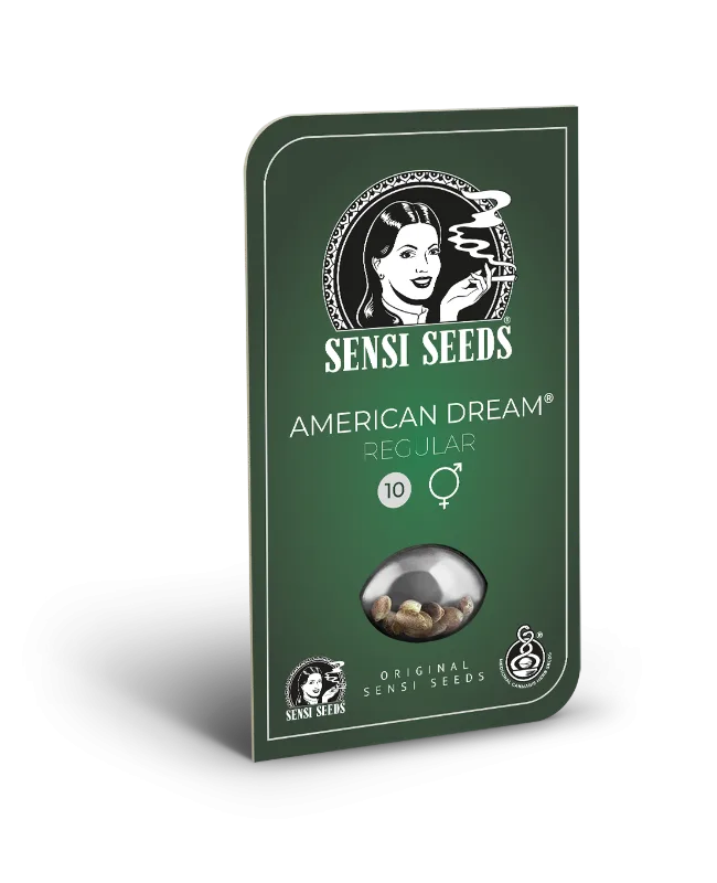 American Dream Regular - Image 2