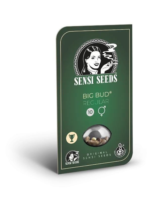 Big Bud Graines Régulières – Image 2