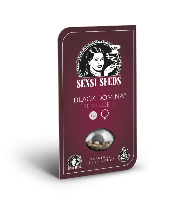 Black Domina Feminised - Image 2