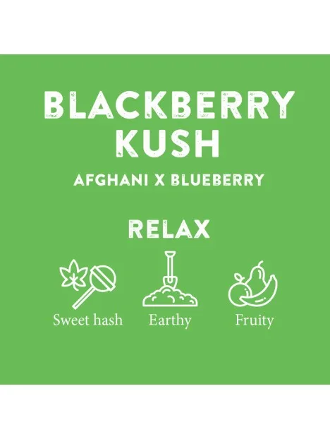 Blackberry Kush CBD Distillate Cartridge 91% Cannabinoids 4