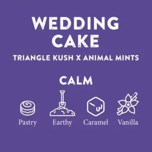 CBD Distillate 91% Wedding Cake Dual Pack 4