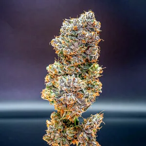Cookies Gelato Semillas feminizadas - Imagen 9