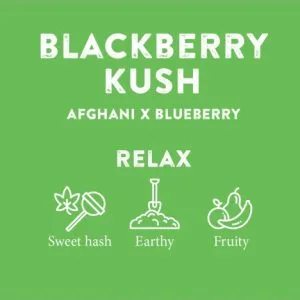 CBD Distillate 91% Blackberry Kush Dual Pack 4