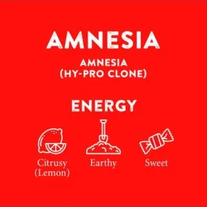 CBD Distillate 91% Energy & Relax Dual Pack 2 4