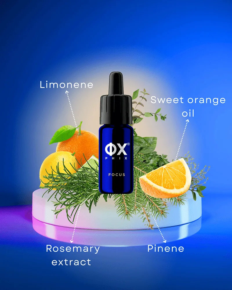 PHIX Focus 2