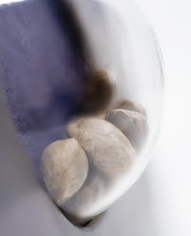 Northern Lights Auto Graines Autofloraison – Image 3