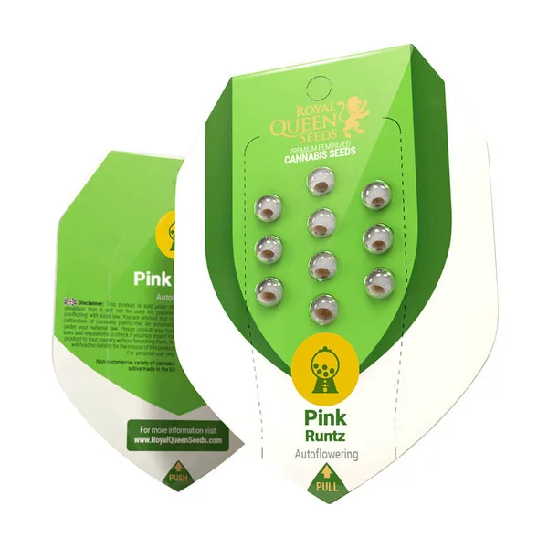 Pink Runtz Auto Automatik Samen – Bild 2