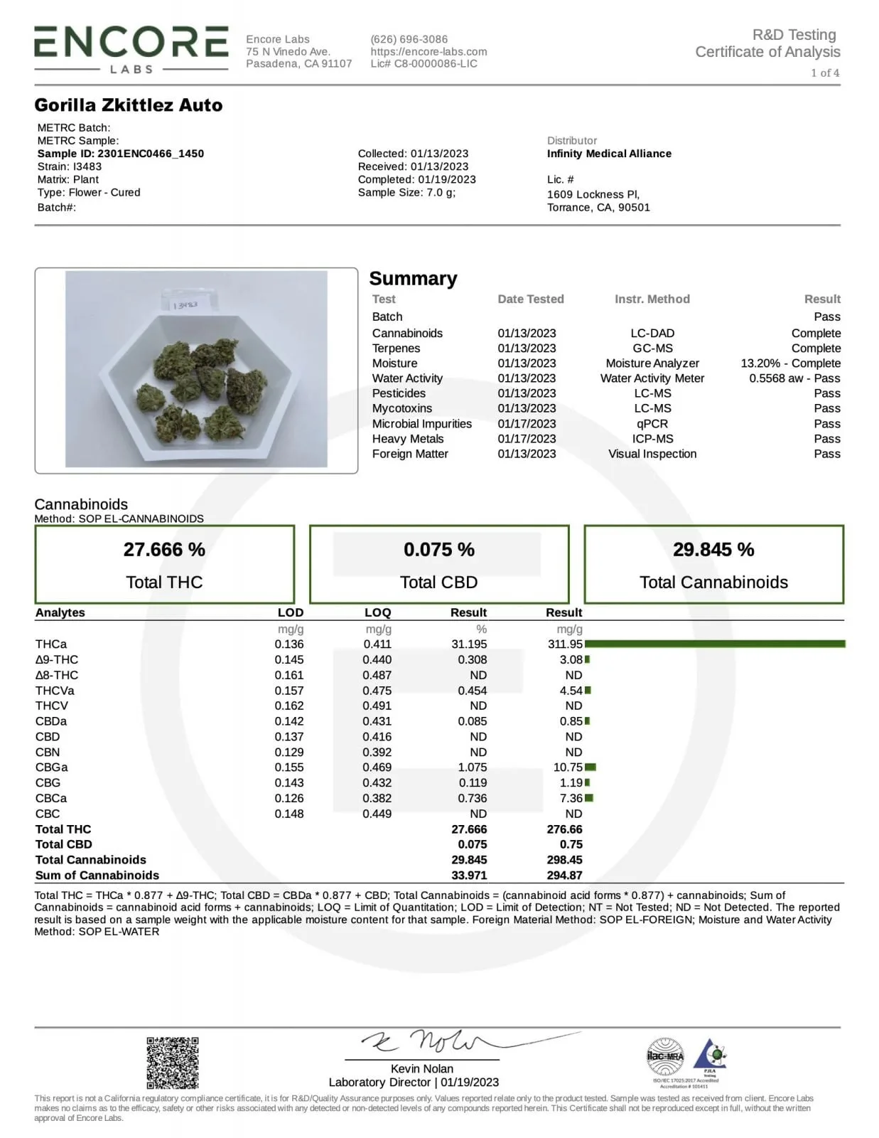Gorilla Z Auto Automatik Samen – Bild 10