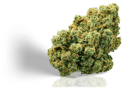 Finden Sie Ihre perfekte CBD-Blüte