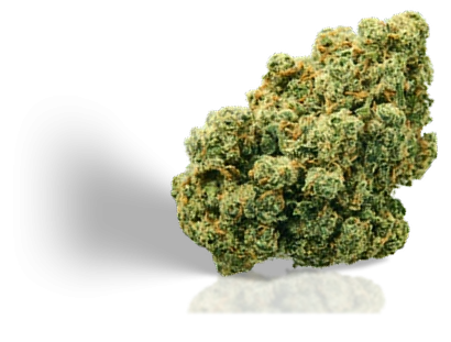 Gaseste floarea CBD potrivita pentru tine