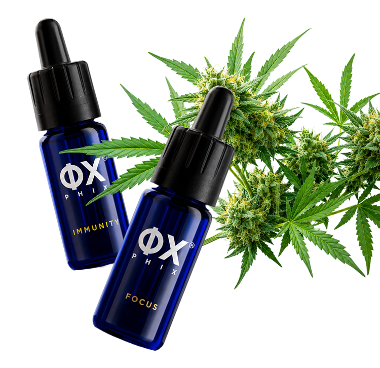 Auf der Suche nach Premium-CBD-Öl?