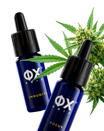 Auf der Suche nach Premium-CBD-Öl?