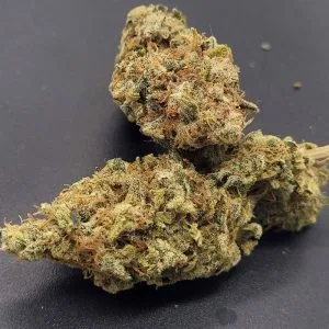 TnT Trichome
